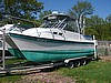 1997 Glacier Bay 252 w/ trailer